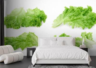 Collage with fresh lettuce leaves on white background Wall mural