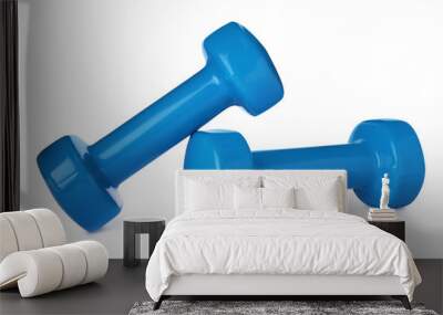 Color dumbbells on white background. Home fitness Wall mural