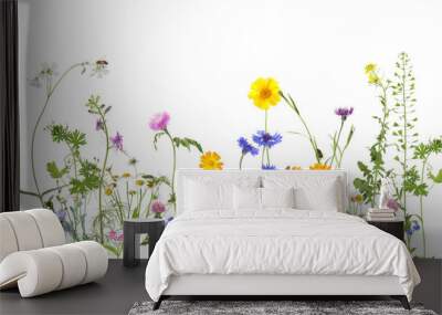 Colorful meadow flowers and bee on white background, banner design Wall mural