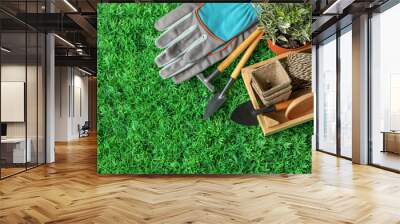 Composition with plant and professional gardening tools on artificial grass Wall mural