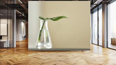 Conical flask with plant on table against blurred background, space for text. Chemistry laboratory research Wall mural