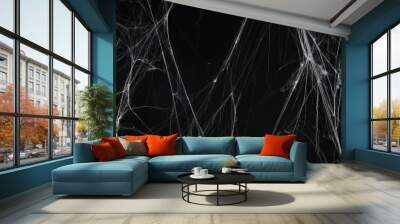 Creepy white spider web on black background Wall mural