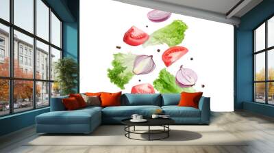 Cut tomatoes, onion, lettuce and allspice in air on white background Wall mural