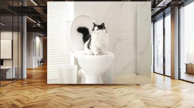 Cute cat sitting on toilet bowl in bathroom Wall mural