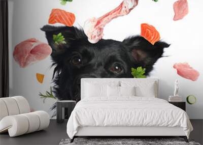 Cute dog surrounded by fresh products rich in vitamins on white background. Healthy diet for pet Wall mural