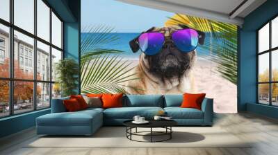 Cute dog wearing sunglasses on sandy beach near sea. Summer vacation with pet Wall mural