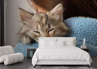 cute fluffy kitten on owner's shoulder against light background, closeup Wall mural