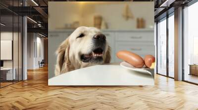 Cute hungry dog near plate with owner's food at table in kitchen Wall mural