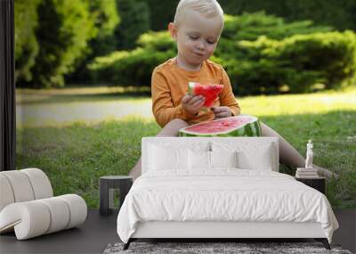 Cute little baby eating juicy watermelon on green grass outdoors Wall mural