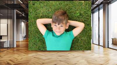 Cute little boy on green grass in park, top view. Happy child Wall mural