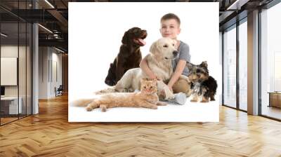 Cute little child with his pets on white background Wall mural