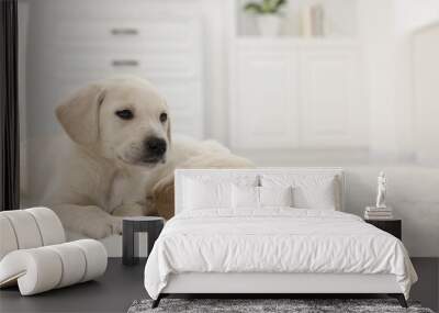 Cute little puppies on white carpet at home. Space for text Wall mural