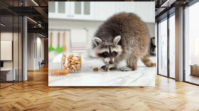 Cute raccoon eating peanuts on table in kitchen Wall mural