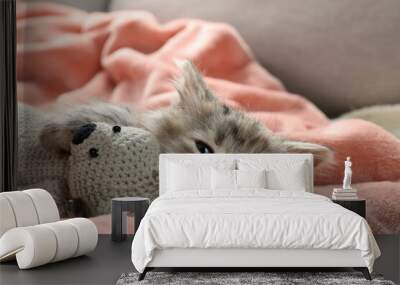 Cute sleepy kitten with toy on soft pink blanket Wall mural