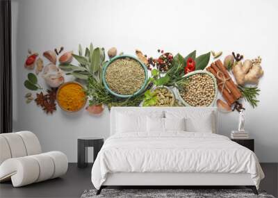 Different fresh herbs and spices on white background, top view Wall mural