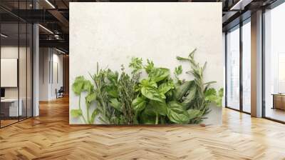 Different fresh herbs on light textured table, flat lay. Space for text Wall mural