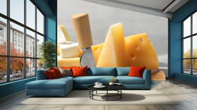 Different types of delicious cheese in wooden plate against light background Wall mural