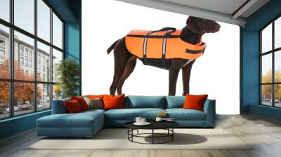 Dog rescuer in life vest on white background Wall mural