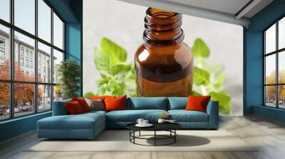 Essential oil in bottle and oregano twigs on light textured table, closeup Wall mural