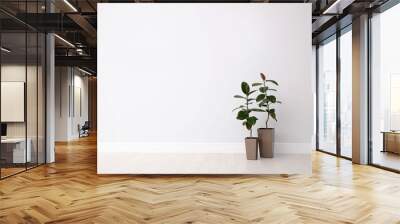 Ficuses on floor near white wall, space for text. Home plants Wall mural