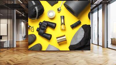 Flat lay composition with different camping equipment on color background Wall mural