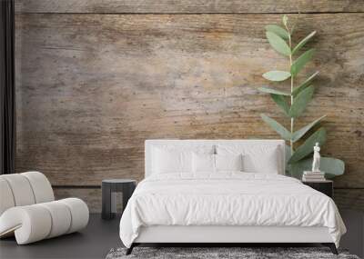 Flat lay composition with fresh eucalyptus leaves and space for design on wooden background Wall mural