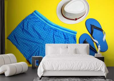 Flat lay composition with stylish male swim trunks on color background. Beach objects Wall mural