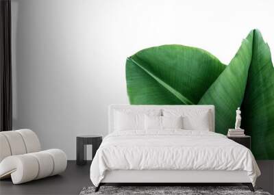 Fresh green banana leaves on white background, top view. Tropical foliage Wall mural