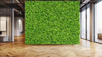 Fresh green grass as background outdoors, top view. Banner design Wall mural