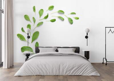 Fresh green healthy spinach on white background, top view Wall mural