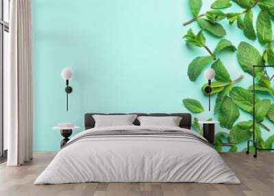 Fresh green mint leaves on blue background, flat lay. Space for text Wall mural