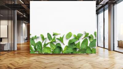 Fresh green mint leaves on white background, top view Wall mural