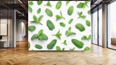 Fresh green mint leaves on white background, top view Wall mural