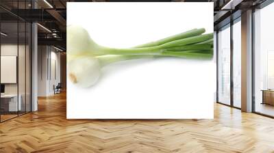 Fresh green onion on white background Wall mural