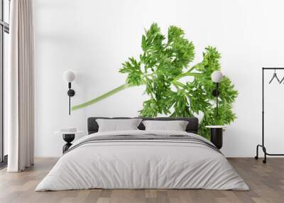 Fresh green organic parsley on white background Wall mural