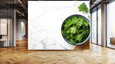 Fresh green parsley on white marble table, top view. Space for text Wall mural