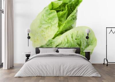 Fresh green romaine lettuces isolated on white Wall mural