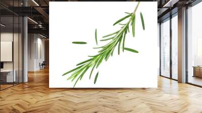 Fresh green rosemary in air on white background Wall mural