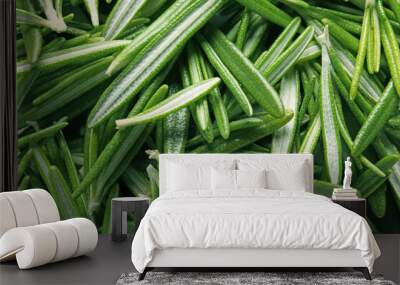 Fresh green rosemary leaves as background, top view Wall mural