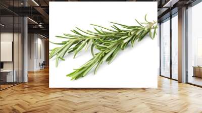 Fresh green rosemary twigs on white background Wall mural