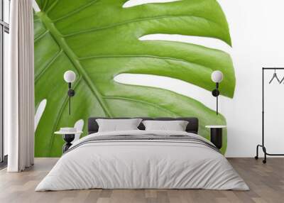 Fresh green tropical leaf isolated on white, closeup Wall mural