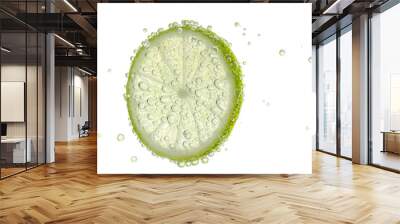 Fresh lime slice in sparkling water on white background Wall mural