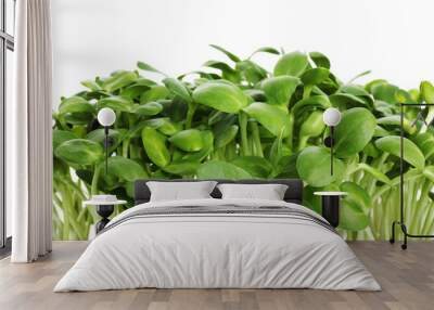 Fresh organic microgreen on white background, closeup Wall mural