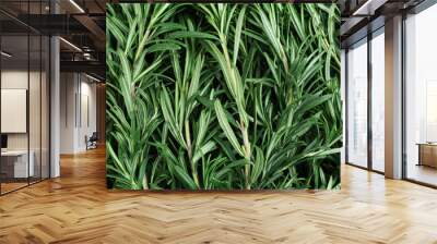 Fresh organic rosemary as background, top view Wall mural