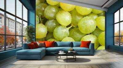 Fresh ripe juicy white grapes as background, closeup view Wall mural