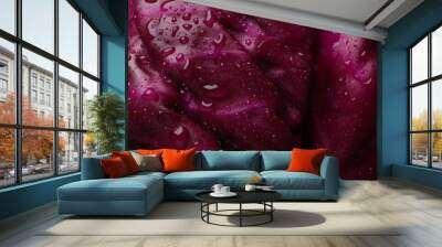 Fresh ripe red cabbage with water drops as background, closeup Wall mural