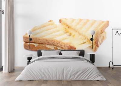 Fresh tasty cheese sandwich cut in half on white background Wall mural