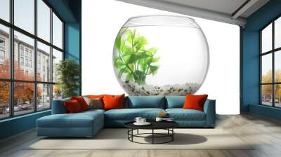 Glass fish bowl with clear water, plant and decorative pebble isolated on white Wall mural