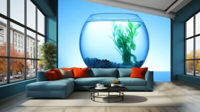 Glass fish bowl with clear water, plant and decorative pebble on blue background Wall mural