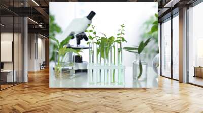 Glass tubes with plants in rack on table against blurred background. Biological chemistry Wall mural